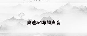 奥迪a4车锁声音