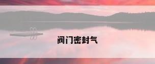 阀门密封气
