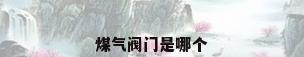 煤气阀门是哪个