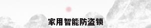 家用智能防盗锁