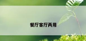 餐厅客厅两用