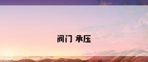 阀门 承压