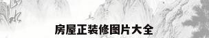 房屋正装修图片大全