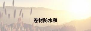 卷材防水和
