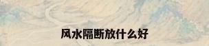 风水隔断放什么好