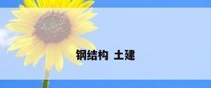 钢结构 土建