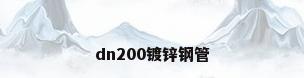 dn200镀锌钢管