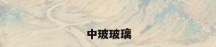 中玻玻璃