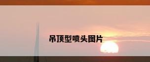 吊顶型喷头图片