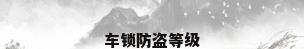 车锁防盗等级