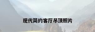 现代简约客厅吊顶照片