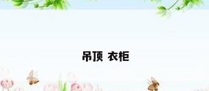 吊顶 衣柜