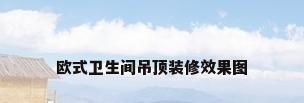 欧式卫生间吊顶装修效果图