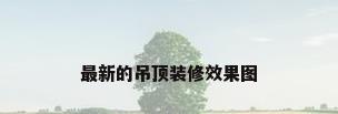 最新的吊顶装修效果图