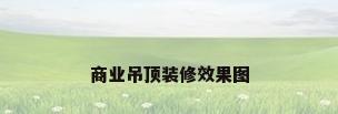 商业吊顶装修效果图