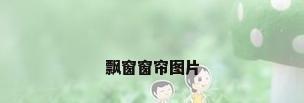 飘窗窗帘图片