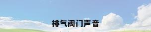 排气阀门声音