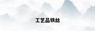 工艺品铁丝