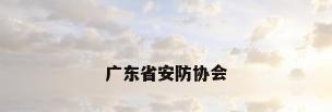 广东省安防协会
