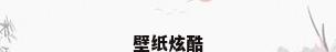 壁纸炫酷