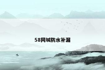 58同城防水补漏