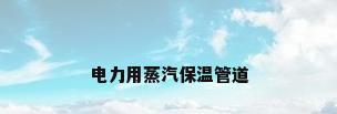电力用蒸汽保温管道