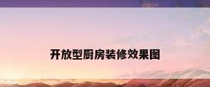 开放型厨房装修效果图