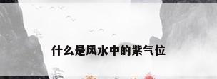 什么是风水中的紫气位