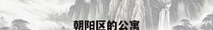 朝阳区的公寓