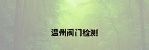 温州阀门检测