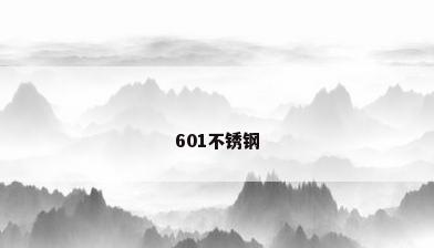 601不锈钢