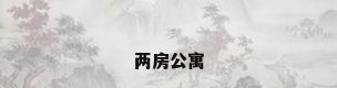 两房公寓