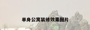 单身公寓装修效果图片