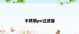 不锈钢pe过滤器