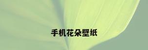 手机花朵壁纸