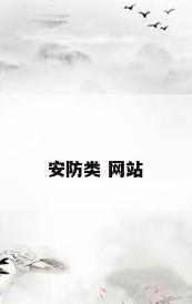 安防类 网站