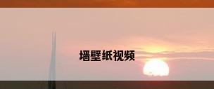 墙壁纸视频