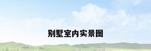 别墅室内实景图