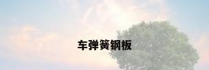 车弹簧钢板