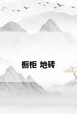 橱柜 地砖