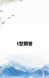 t型钢管