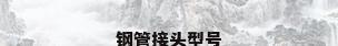 钢管接头型号