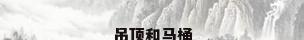 吊顶和马桶