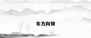 车方向锁