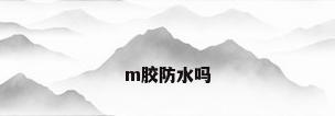 m胶防水吗