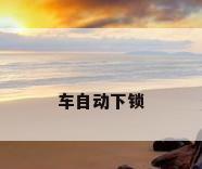 车自动下锁