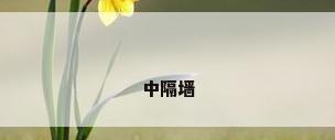 中隔墙