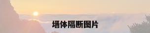 墙体隔断图片