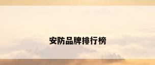 安防品牌排行榜