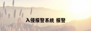 入侵报警系统 报警